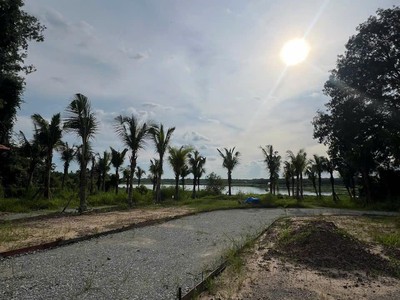 Đất dầu tiếng bình dương - 7000m2 - có 3 căn nhà trên đất - giá 35 tỷ còn thương lượng 1