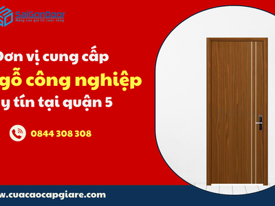 Đơn vị cung cấp cửa gỗ công nghiệp uy tín tại quận 5 2