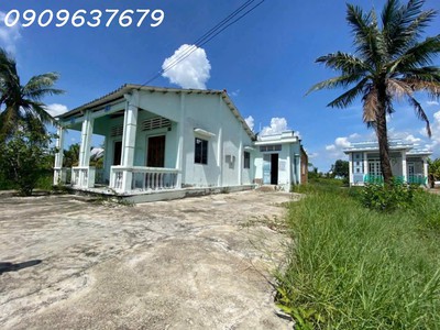 Gấp gấp bán nhà vườn có diện tích vuông vức  300m2 thổ   1004m2 vườn  xã tân chánh h cần đước long 2