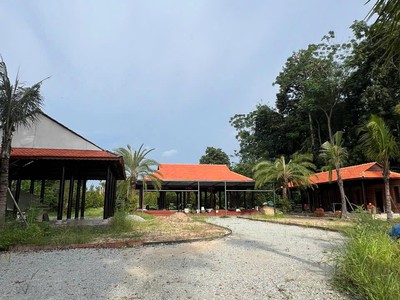 Đất dầu tiếng bình dương - 7000m2 - có 3 căn nhà trên đất - giá 35 tỷ còn thương lượng 2
