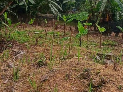 Bán nhanh đất đẹp chính chủ- vị trí đẹp 1200m2 -quang tiến, hòa bình 3