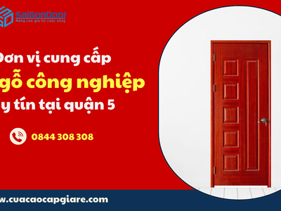 Đơn vị cung cấp cửa gỗ công nghiệp uy tín tại quận 5 3