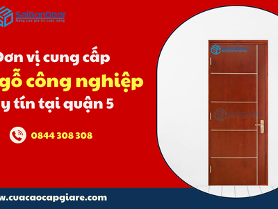 Đơn vị cung cấp cửa gỗ công nghiệp uy tín tại quận 5 4