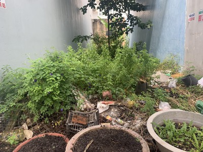 C125  cơ hội đầu tư hiếm có - đất mặt tiền nguyễn thị thập, quận 7  2