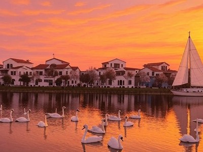 Chính chủ bán biệt thự song lập vistalago nam an khánh diện tích 435- 439 m  - view hồ 7ha độc 1