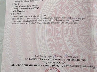 Chủ gửi lô đất vị trí đẹp giá mềm như cọng bún 2