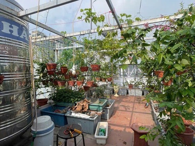 Cần bán nhà phố quần ngựa, ba đình, ô tô đỗ cửa, thoáng trước sau, 58m, 4 tầng, 16.4 tỷ. 4