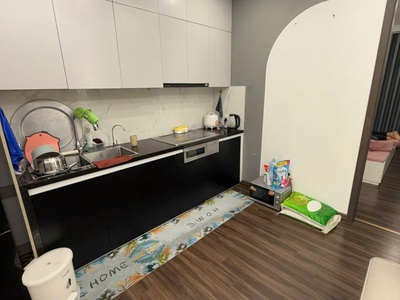 Bán căn hộ 2 ngủ tầng thấp Hoàng Huy Grand , Sở Dầu , Hồng Bàng . Full đồ 3