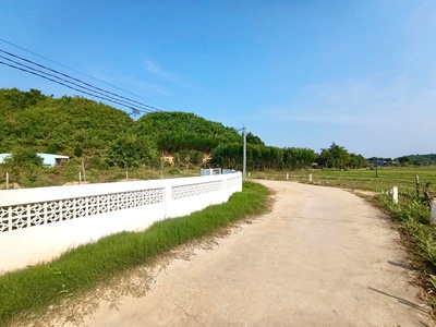 Chỉ 229tr sở hữu lô đất gần 200m2 gần full thổ cư sổ sẵn công chứng ngay tại đạ terh-lâm đồng 1