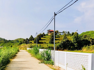 Chỉ 229tr sở hữu lô đất gần 200m2 gần full thổ cư sổ sẵn công chứng ngay tại đạ terh-lâm đồng 0