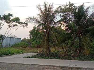 Chính chủ cần bán lô đất có vị trí đẹp tại xã long an - h. cần giuộc - long an 3