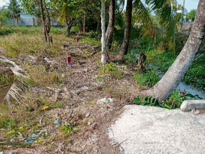 Chính chủ cần bán lô đất có vị trí đẹp tại xã long an - h. cần giuộc - long an 1