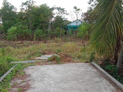 Chính chủ cần bán lô đất có vị trí đẹp tại xã long an - h. cần giuộc - long an 4