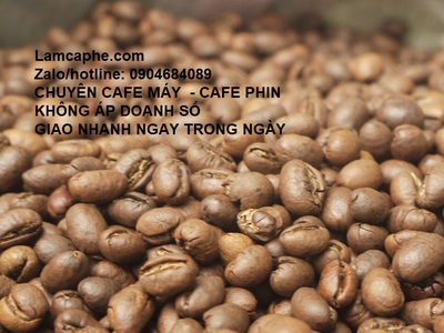 Cà phê máy Hồ Chí Minh - Loại 1 giá sỉ tiết kiệm chi phí 1