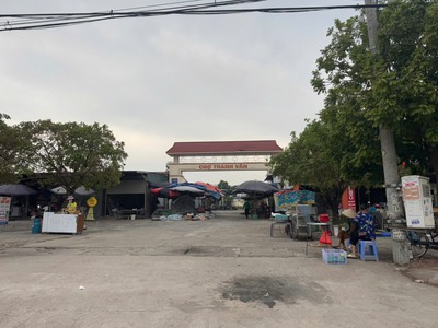 Bán đất mặt đường QL2C Thanh Vân, Tam Dương, Vĩnh Phúc 1