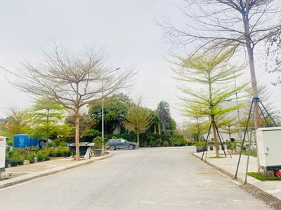 Bán đất phân lô tại Vân Hội City Hội Hợp, Vĩnh Yên, Vĩnh Phúc. Giá chỉ 2.8 tỷ 2