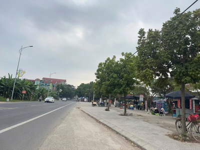 Bán đất mặt đường QL2C Thanh Vân, Tam Dương, Vĩnh Phúc 3
