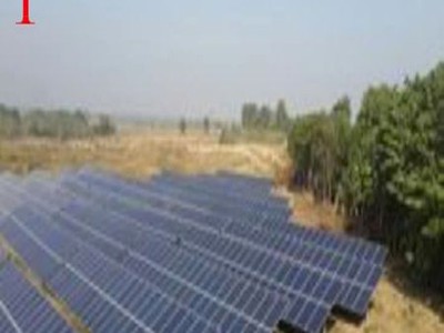 Cho thuê bãi rộng giá rẻ   từ 1.000m  đến 20.000m  đường dt379 thuộc địa phận đa tốn, gia lâm 0