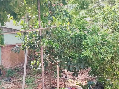 Bán đất thổ cư rẻ - p. tân thới nhất, q12 - 75 m2 - gần  ql1a - hẻm ôtô - chỉ 3.2 tỷ - chỉ 42tr/m2 0