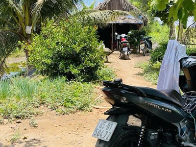 Sở hữu khu đất vườn nghỉ dưỡng - giá yêu thương  - vị trí tại : kênh bò cạp - bình thành - đức huệ 1