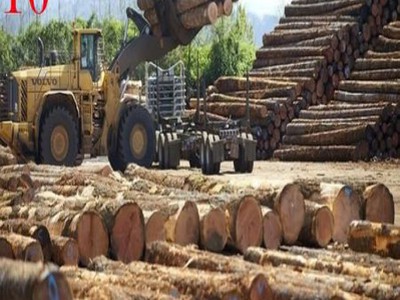 Cho thuê bãi rộng giá rẻ   từ 1.000m  đến 20.000m  đường dt379 thuộc địa phận đa tốn, gia lâm 4