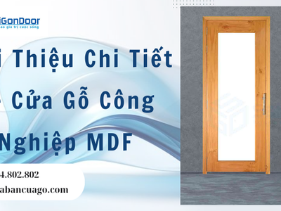 Giới Thiệu Chi Tiết Về Cửa Gỗ Công Nghiệp MDF 1