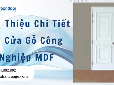 Giới Thiệu Chi Tiết Về Cửa Gỗ Công Nghiệp MDF 2