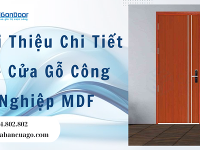 Giới Thiệu Chi Tiết Về Cửa Gỗ Công Nghiệp MDF 3
