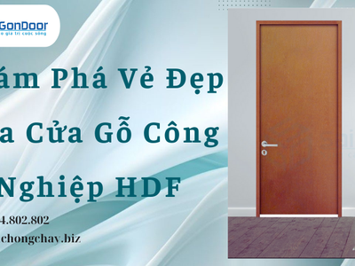 Khám Phá Vẻ Đẹp Của Cửa Gỗ Công Nghiệp HDF 2