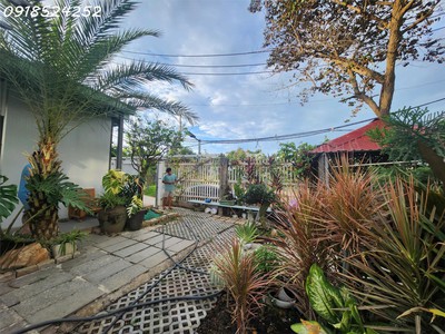 Bán ngôi nhà khu vườn cấp 4 tại q.2, bình trưng đông, 240m2 3