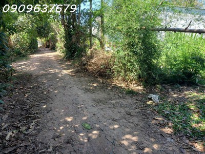 Quá gấp giảm 400 tr- đất đức hoà-long an-260m2 -full thổ cư - xe tải tới đất- khu dân cư hiện hữu- 0