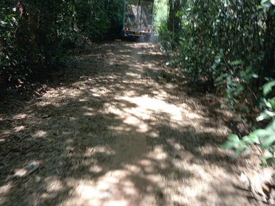 Quá gấp giảm 400 tr- đất đức hoà-long an-260m2 -full thổ cư - xe tải tới đất- khu dân cư hiện hữu- 2