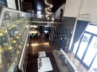 Siêu phẩm chdv mặt tiền tân phú  đẳng cấp là đây-   doanh thu 6 tỷ/năm. 0