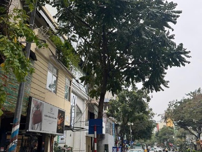 Bán siêu phẩm mặt phố huế nhà 7 tầng thang máy hai bà trưng 2