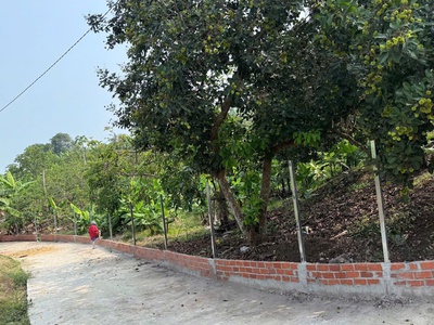 Bán vườn trái cây đã thu hoạch - ngay khu dân cư - đường ô tô vào tận đất - điện nước có sẵn 0