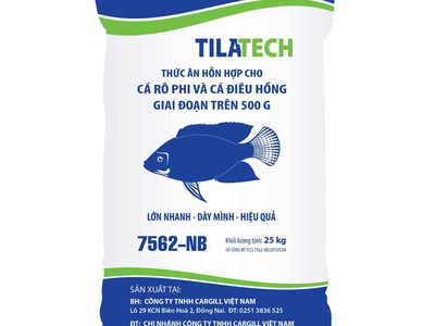 Bao PP dệt có tráng đựng từ 5kg - 50kg. 3