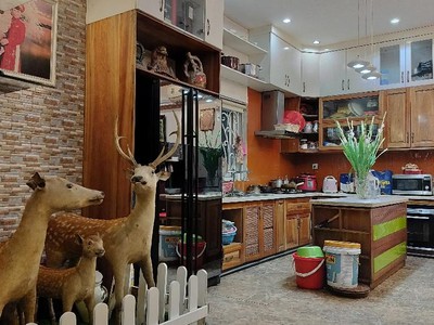 Bán nhà phố lạc long quân - tây hồ - vỉa hè - ô tô tránh - dt 81m2 2