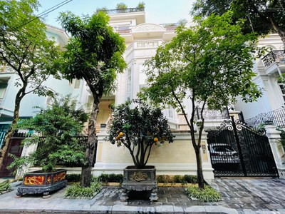 3 biệt thự đơn lập bán đảo linh đàm, gần hồ điều hòa 30ha, dt 255m2, giá cực tốt chỉ 6x tỷ, x tiểu 1