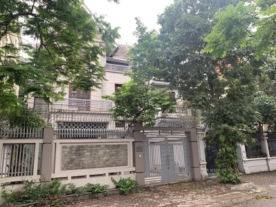 Bán biệt thự đại mỗ, 175m2, 3 tầng, đường lớn, kinh doanh, để ở đều đẹp 0