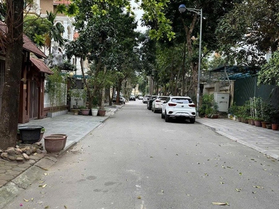 Siêu phẩm biệt thự vip cho giới nhà giàu - 4 mặt thoáng - vỉa hè đá bóng - an ninh cực tốt - thoáng 0