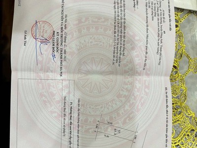 Chính chủ gửi bán 61,3m đất cổ dương - tiên dương - đông anh 2