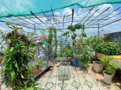 Bán nhà gò vấp, xe hơi đỗ cổng, sat mặt tiền nguyễn thái sơn, 42m  x 4 tầng, 5 pn, hơn 5 tỷ 3