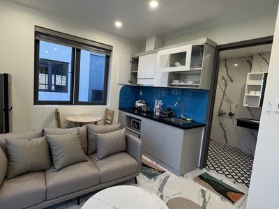 Cho thuê căn hộ 1 p.ngủ riêng biệt  45m2  Waterfront City. 2