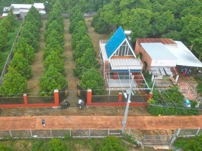 Cả nhà em sang mỹ định cư nên cần bán gấp vườn sầu riêng hiện có 300 cây và nhà trên đất đã có điện 0