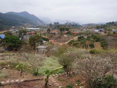 Bán đất view đẹp tại khu du lịch cộng đồng tổ vặt hồng, p. mường sang, tx mộc châu 4