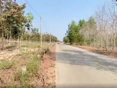 Chính chủ định cư nước ngoài cần bán gấp đất 2 mặt tiền tại tân thành 43, tân uyên, bình dương 2