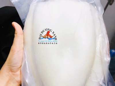 Mực nang bao nhiêu 1kg 0