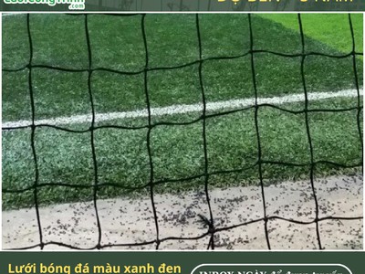 Máy nhả bóng Golf vào Tee MGD - Hàn Quốc 0