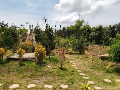 Bán đất Lộc Tân, Bảo Lâm view nhà vườn 4