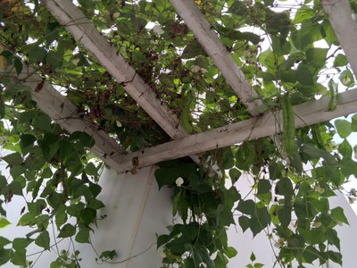 Nhà Đẹp 3 Tầng, Góc 3 Mặt Tiền, 84m2 Sổ Hồng, Liên Phường, Gần Global City, q.9 3